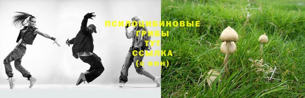 стаф Алексеевка