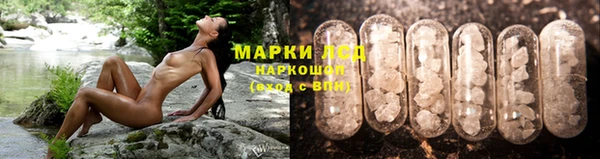 стаф Алексеевка